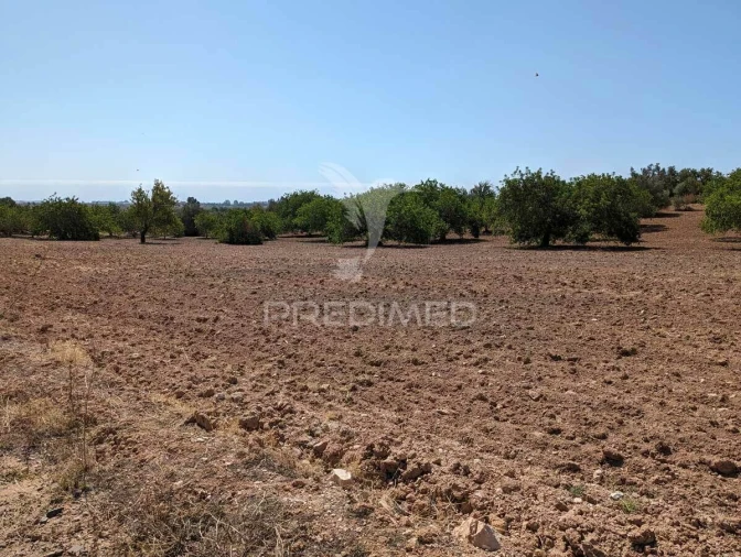 Terreno para Venda em Castro Marim Foto 35