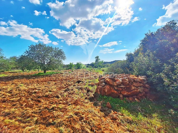 Terreno para Venda em Loule (São Sebastião) Foto 7