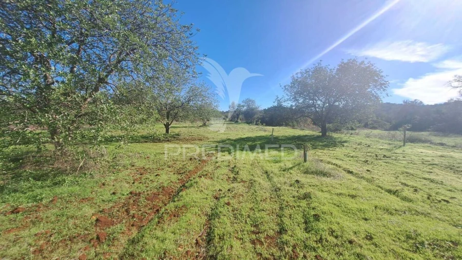 Terreno para Venda em Loule (São Sebastião) Foto 5