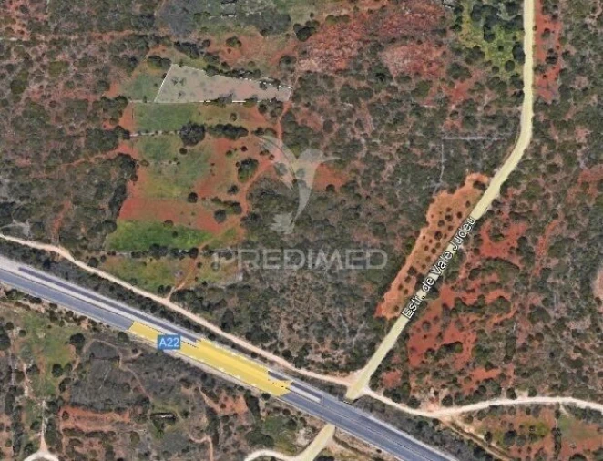 Terreno para Venda em Loule (São Sebastião) Foto 2