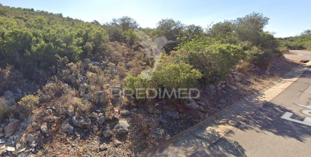 Terreno para Venda em Loule (São Sebastião) Foto 9
