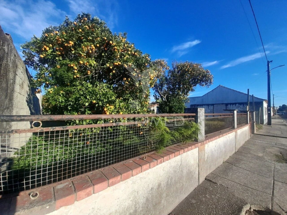 Terreno para Venda em Muge Foto 2