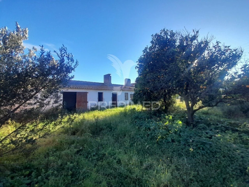 Terreno para Venda em Muge Foto 10