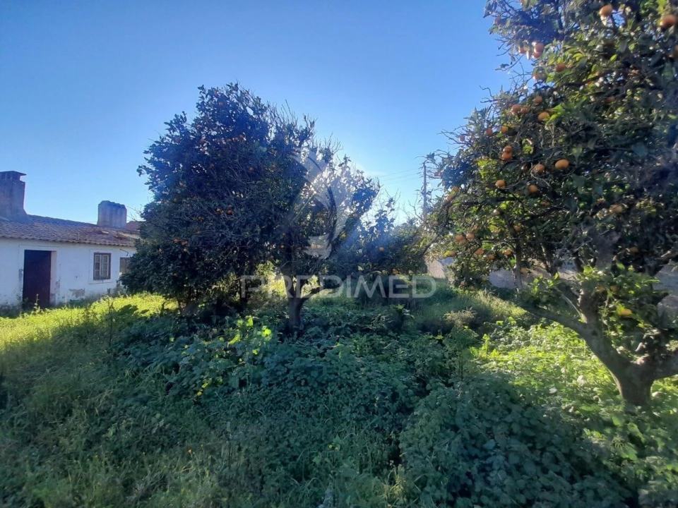 Terreno para Venda em Muge Foto 9