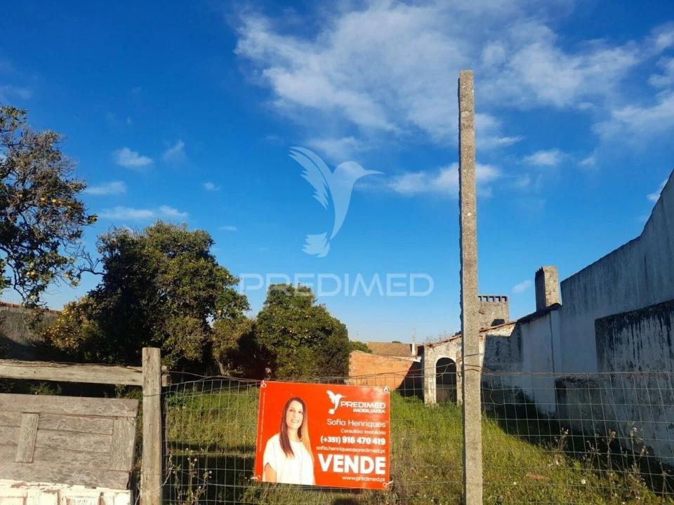 Terreno para Venda em Muge Foto 11