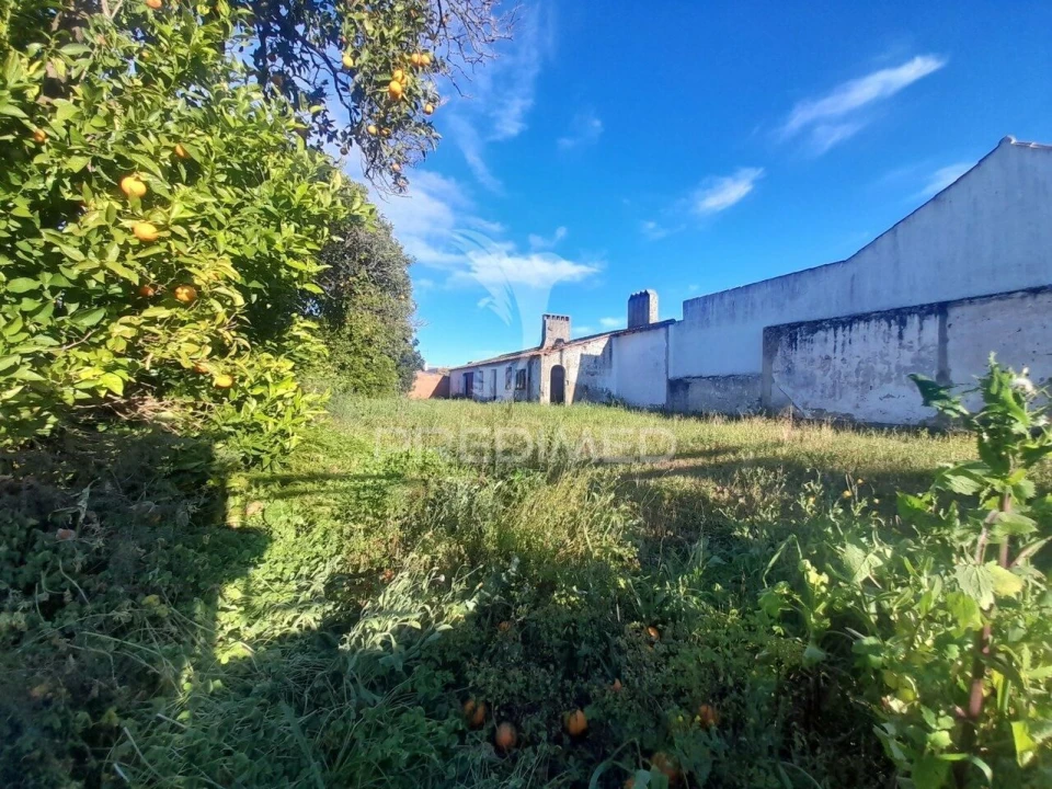 Terreno para Venda em Muge Foto 5