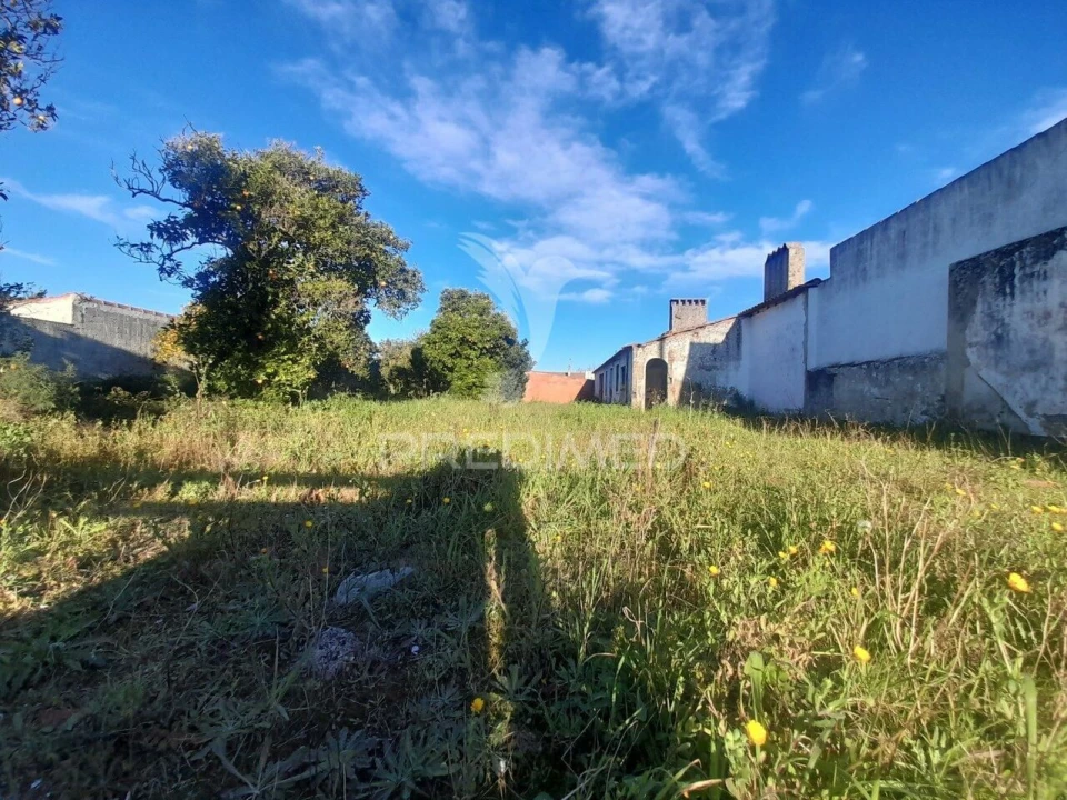Terreno para Venda em Muge Foto 6