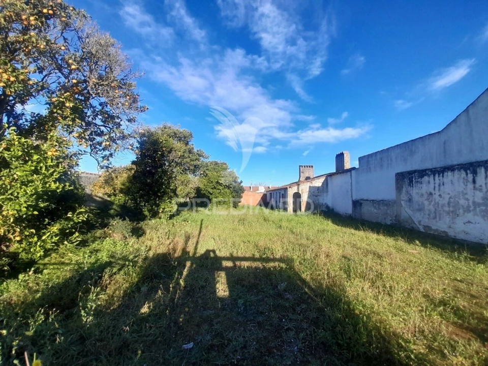 Terreno para Venda em Muge Foto 4