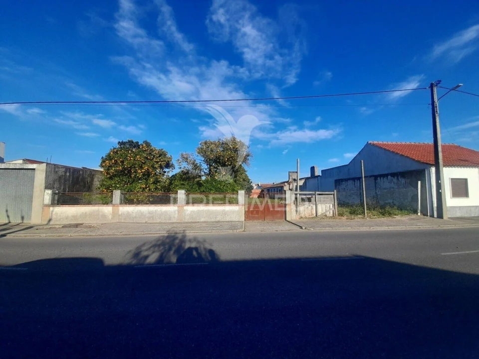 Terreno para Venda em Muge Foto 1