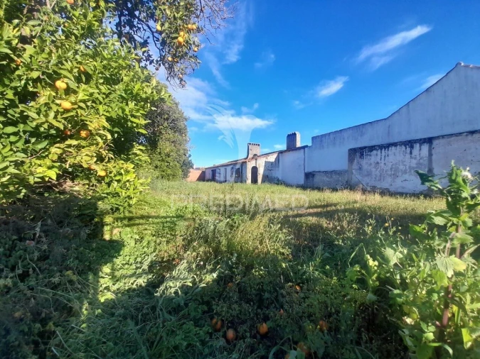 Terreno para Venda em Muge Foto 5