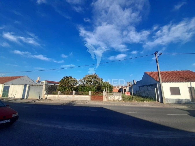 Terreno para Venda em Muge Foto 17