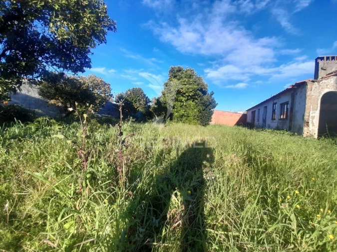 Terreno para Venda em Muge Foto 7