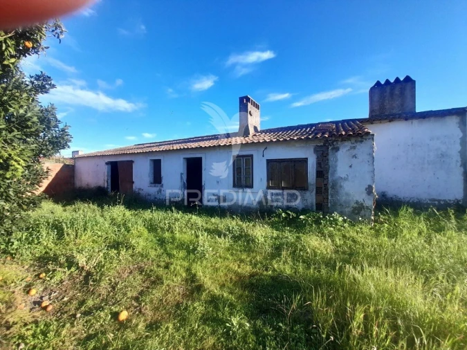 Terreno para Venda em Muge Foto 8