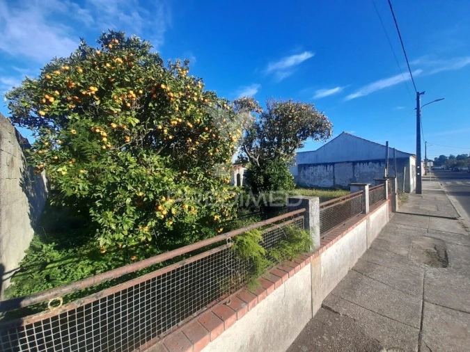 Terreno para Venda em Muge Foto 3