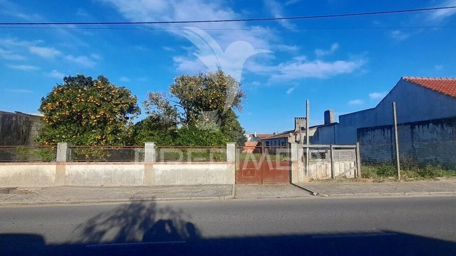 Terreno para Venda em Muge
