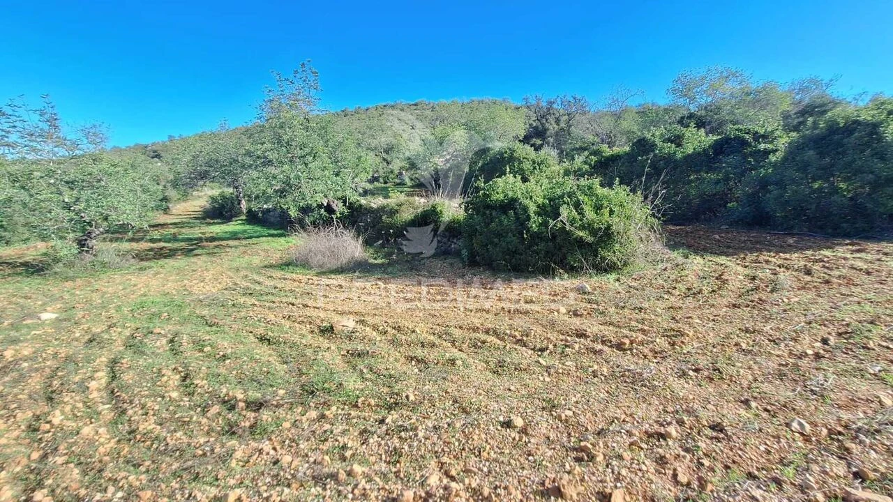 Terreno para Venda em Loule (São Sebastião) Foto 2