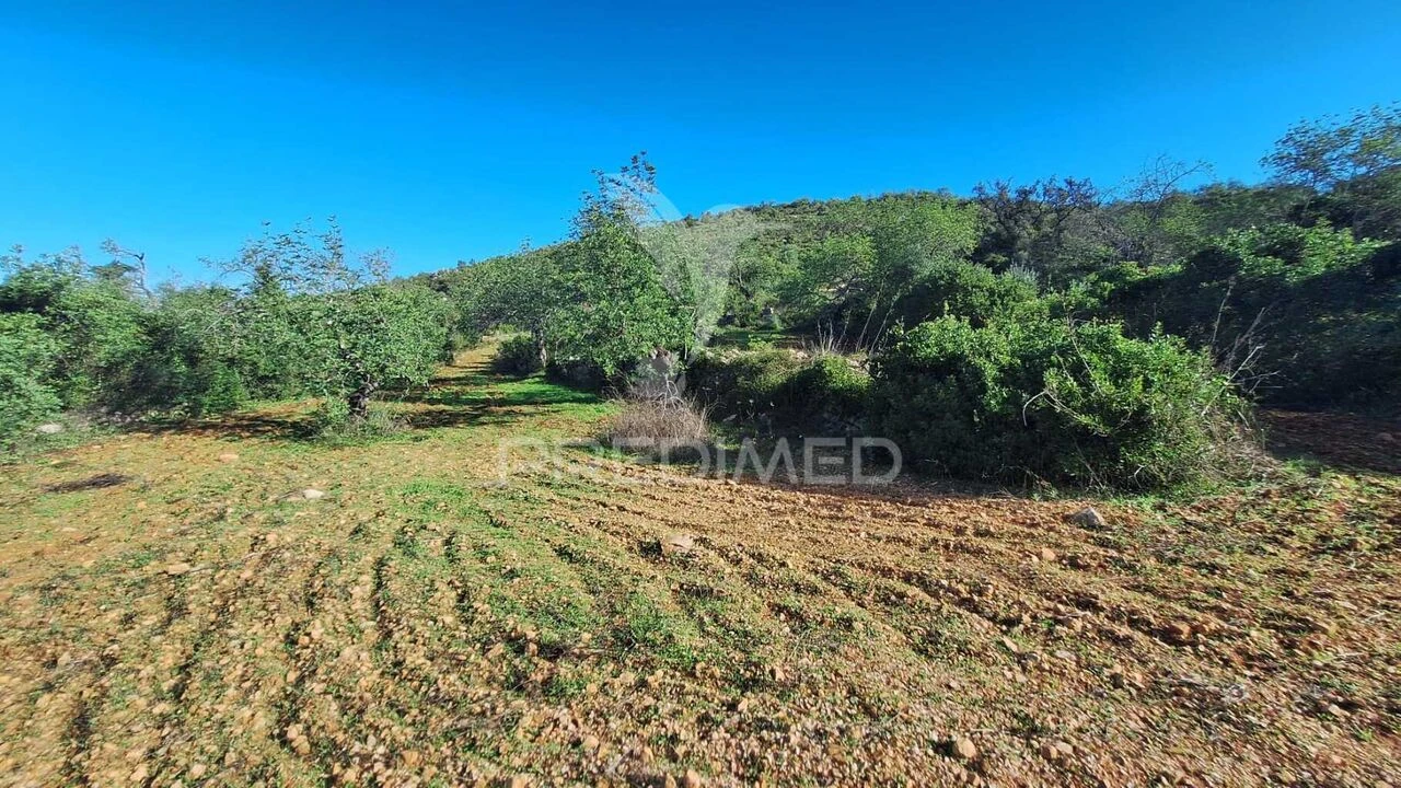 Terreno para Venda em Loule (São Sebastião) Foto 6