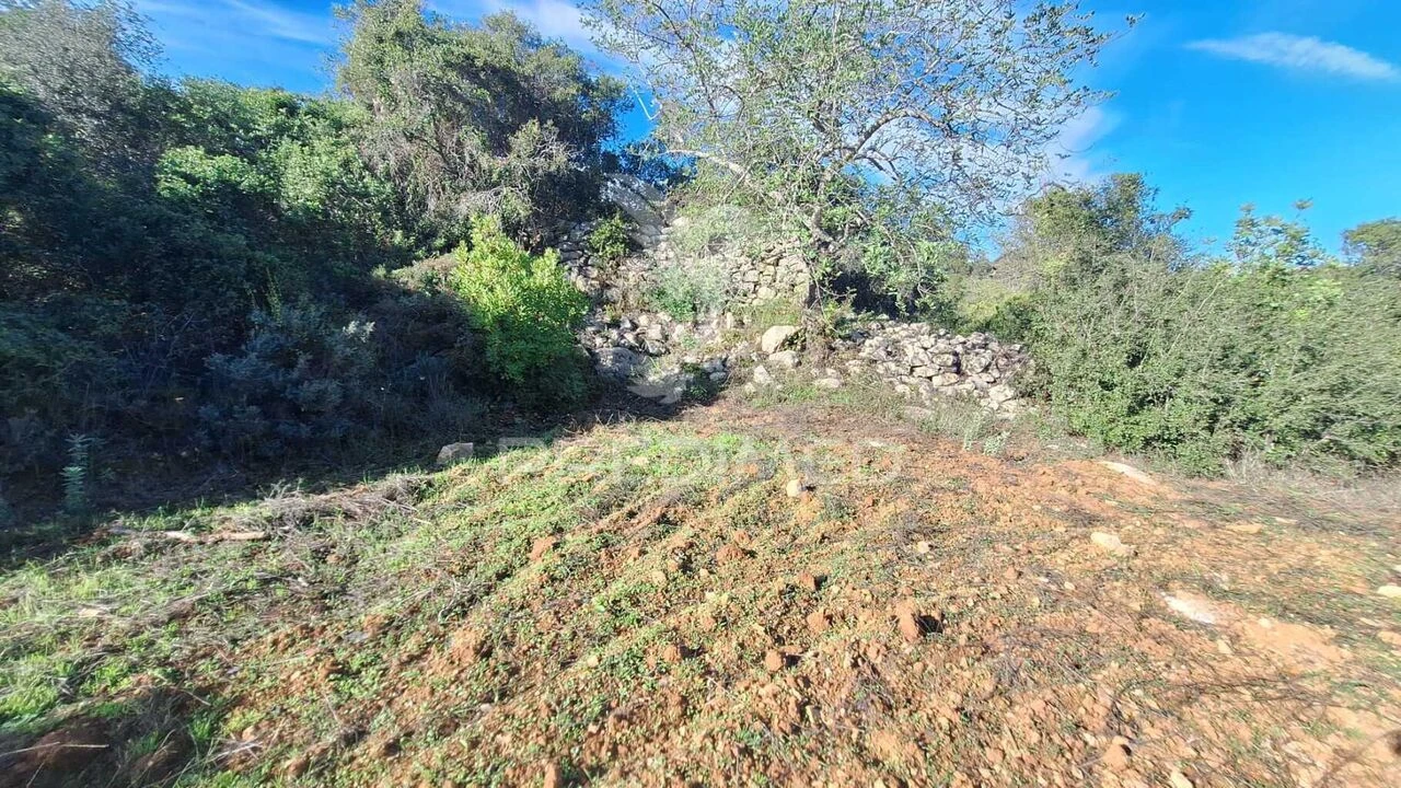 Terreno para Venda em Loule (São Sebastião) Foto 5
