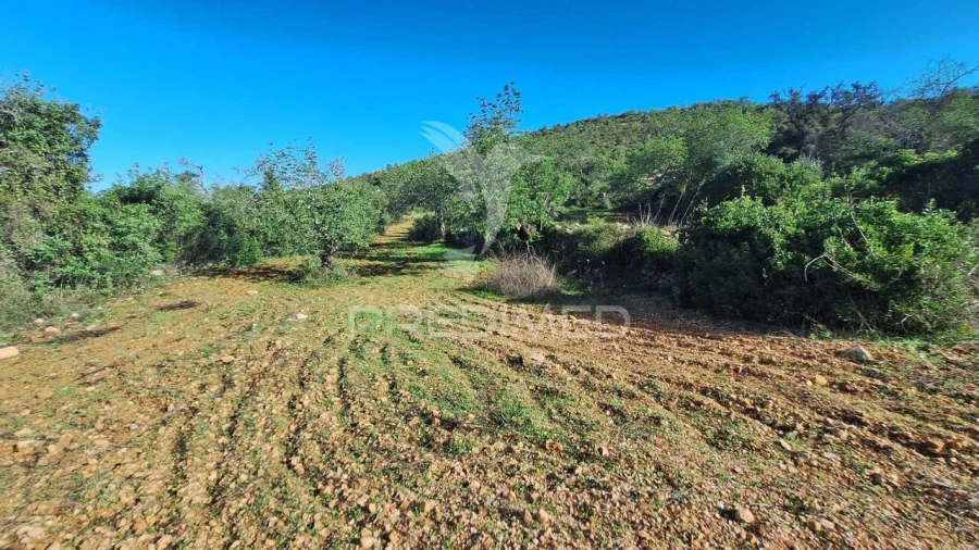 Terreno para Venda em Loule (São Sebastião) Foto 4