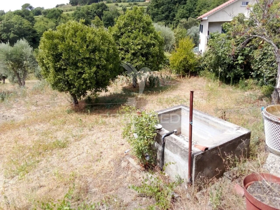 Moradia T3 para Venda em Castelo de Penalva Foto 15