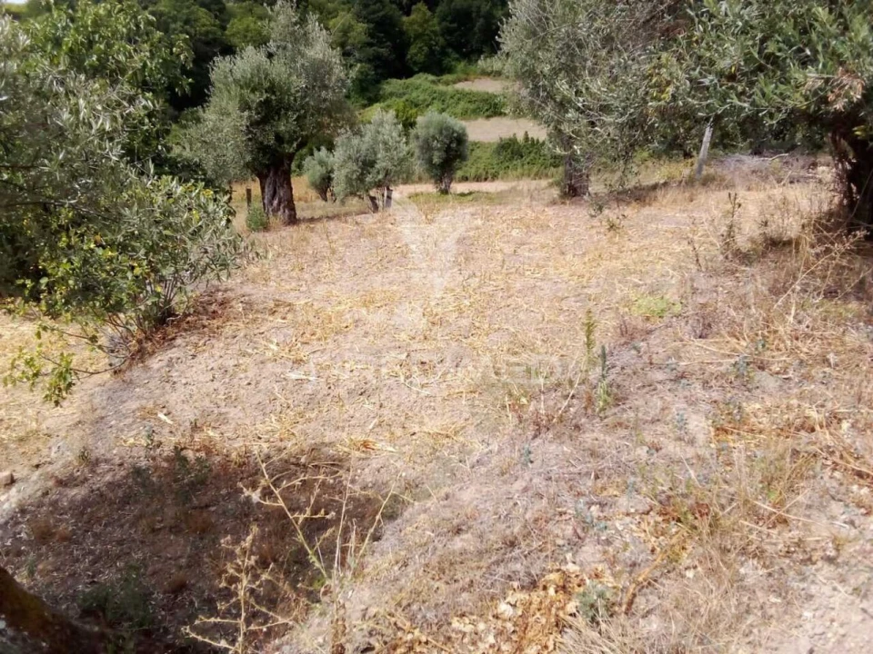 Moradia T3 para Venda em Castelo de Penalva Foto 8