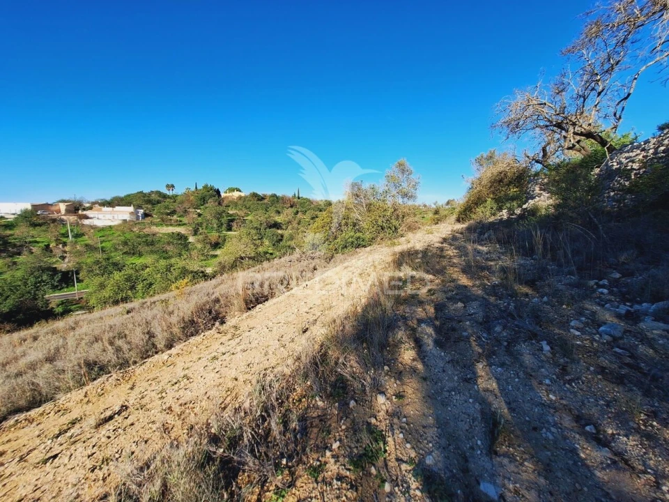 Terreno para Venda em Boliqueime Foto 5