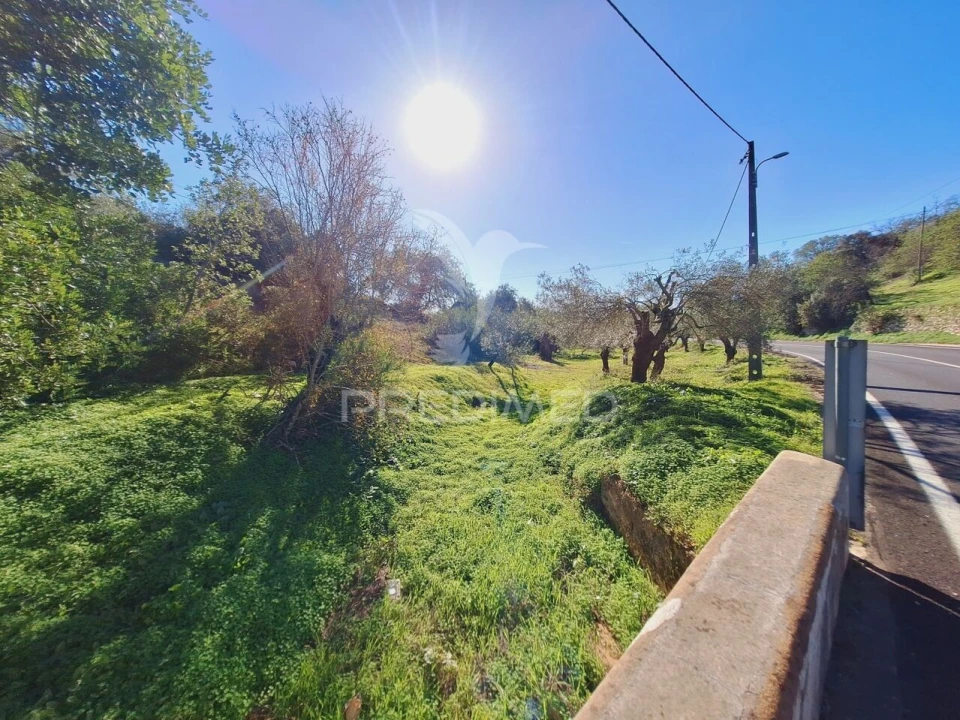 Terreno para Venda em Boliqueime Foto 16