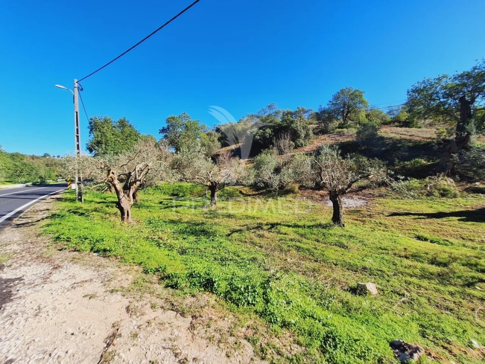 Terreno para Venda em Boliqueime Foto 15