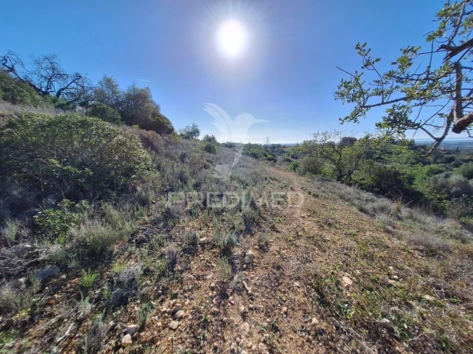 Terreno para Venda em Boliqueime Foto 11
