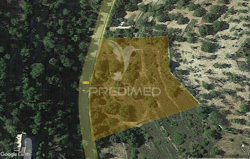 Terreno para Venda em Boliqueime Foto 1