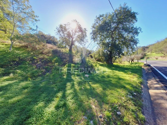 Terreno para Venda em Boliqueime Foto 18