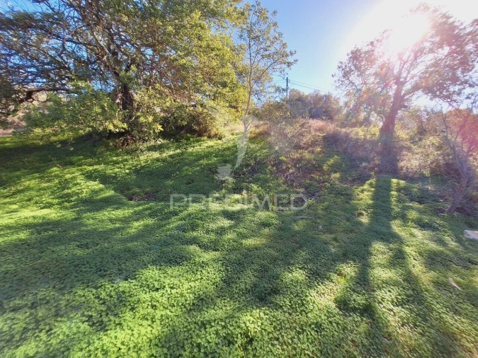 Terreno para Venda em Boliqueime Foto 19