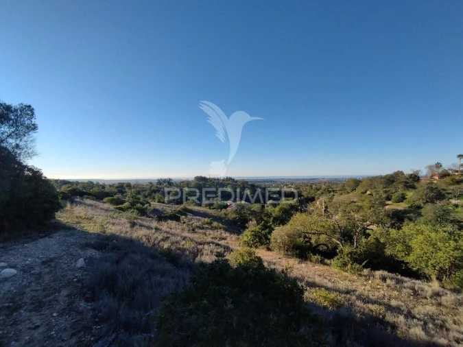 Terreno para Venda em Boliqueime Foto 22