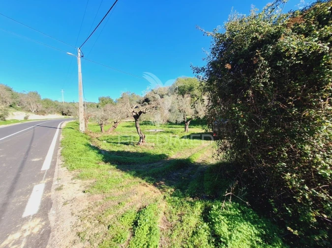 Terreno para Venda em Boliqueime Foto 13