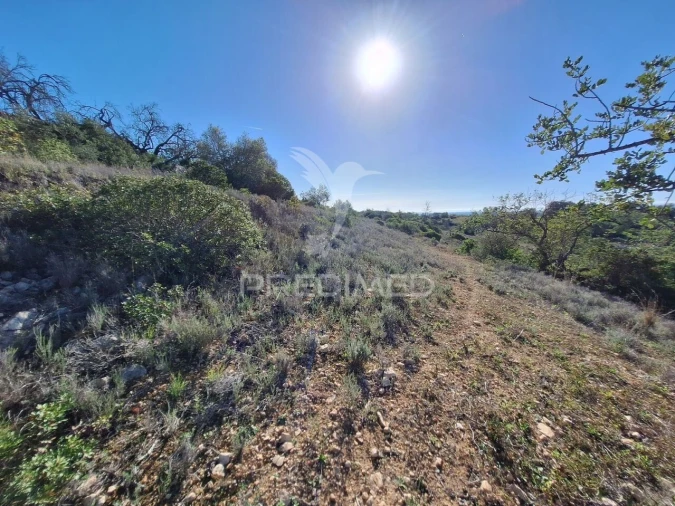 Terreno para Venda em Boliqueime Foto 10