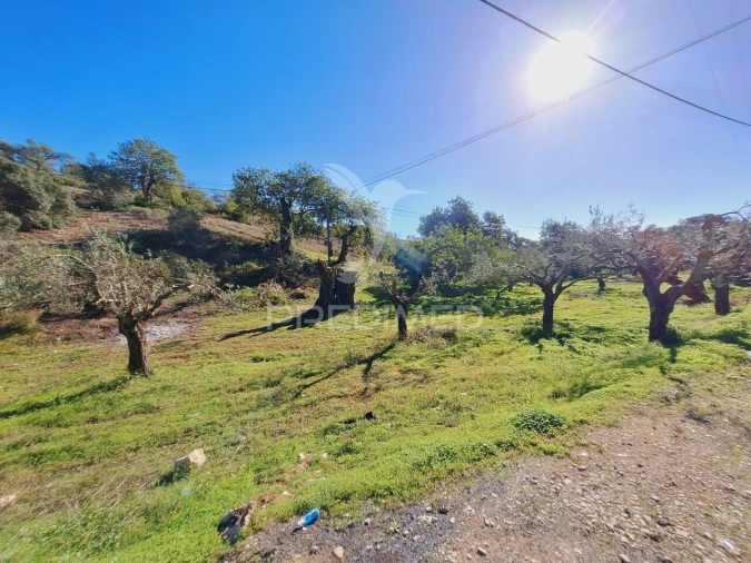 Terreno para Venda em Boliqueime Foto 14