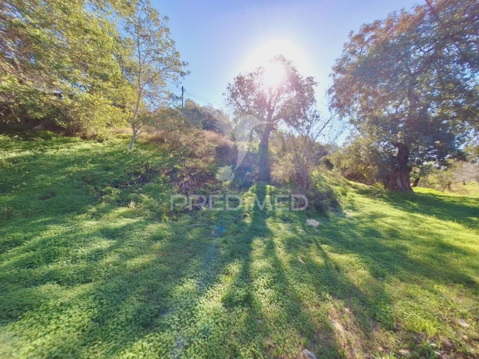 Terreno para Venda em Boliqueime Foto 17