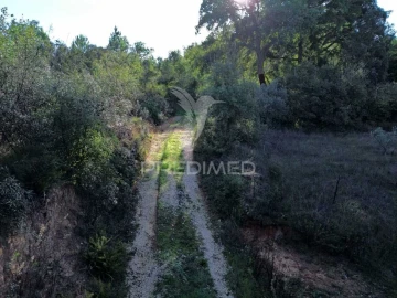 Terreno para Venda em Arneiro das Milhariças