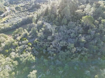 Terreno para Venda em Arneiro das Milhariças
