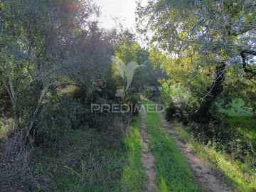 Terreno para Venda em Arneiro das Milhariças