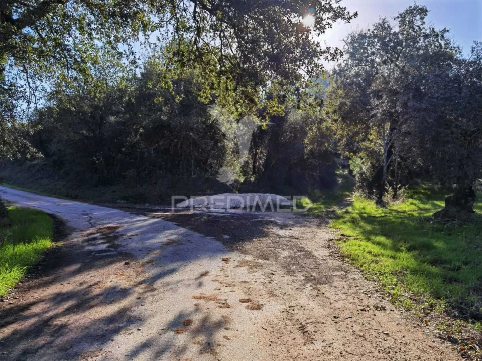 Terreno para Venda em Arneiro das Milhariças Foto 6