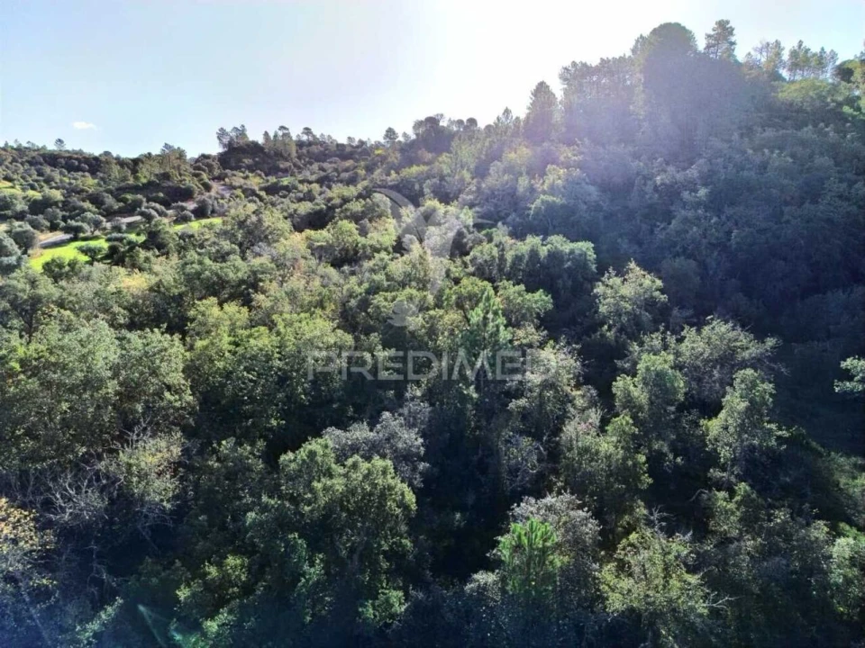 Terreno para Venda em Arneiro das Milhariças Foto 20