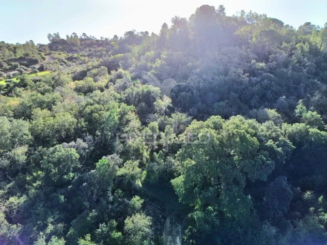 Terreno para Venda em Arneiro das Milhariças Foto 22