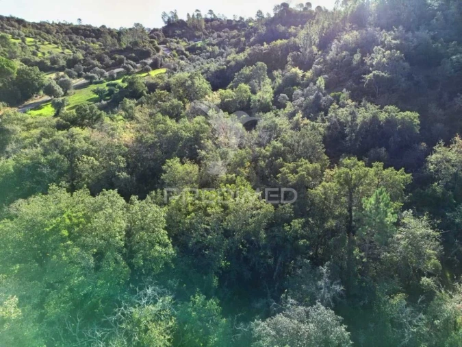 Terreno para Venda em Arneiro das Milhariças Foto 18
