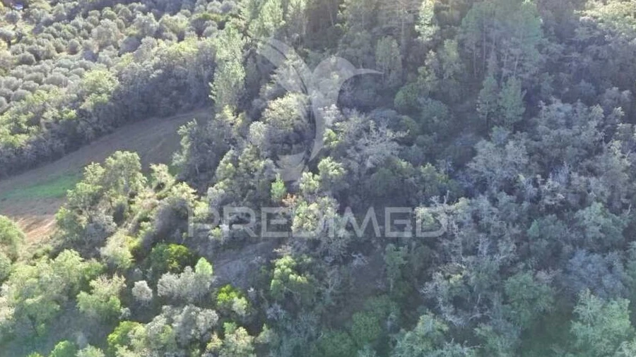 Terreno para Venda em Arneiro das Milhariças