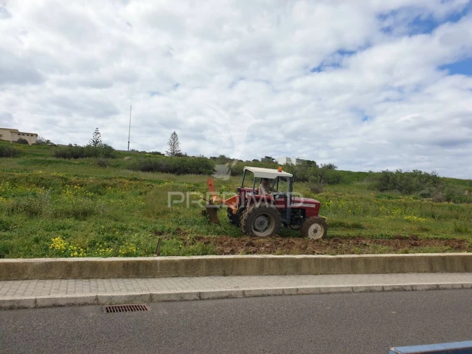Terreno para Venda em Porto Santo Foto 3