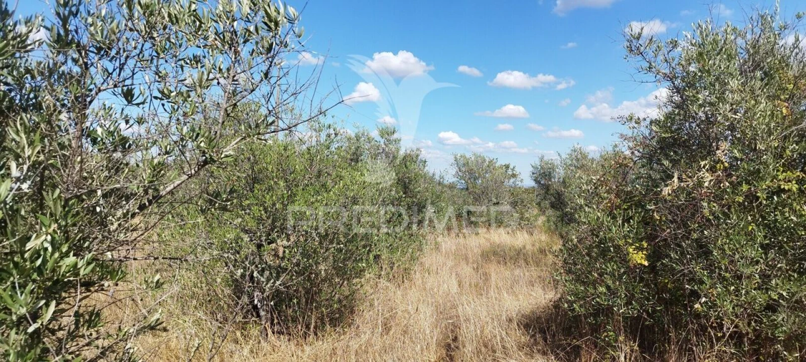 Terreno para Venda em Santa Maria da Devesa Foto 3