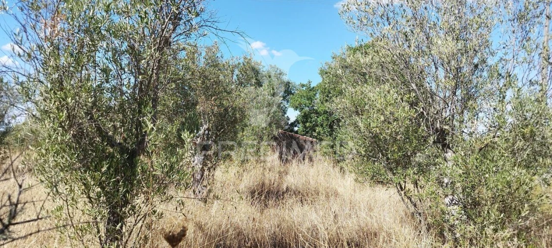 Terreno para Venda em Santa Maria da Devesa Foto 2
