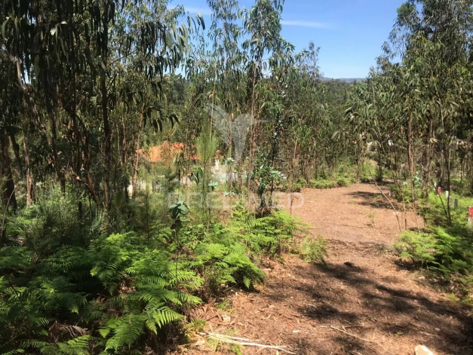 Terreno para Venda em Vinhos Foto 1