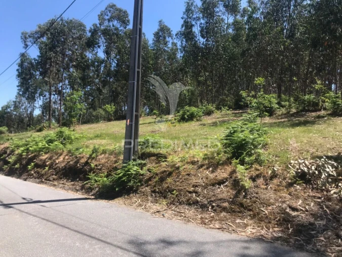 Terreno para Venda em Vinhos Foto 5